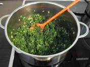 Cannelloni in Tomaten-Sahne - Rezept