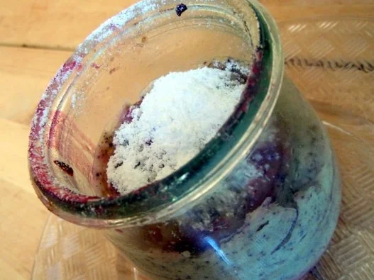 Mohn-Cheesecake - Rezept