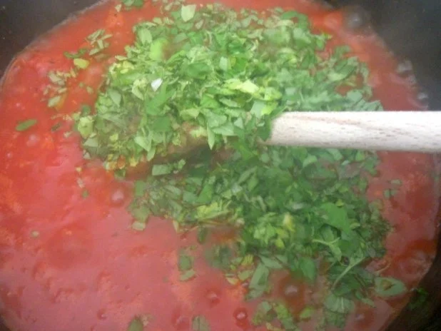 Tortelloni mit Basilikumfüllung und Tomatensugo - Rezept - Bild Nr. 5