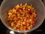 Rezept: Erdbeeren-Nektarinen Bowle mit Campari Erdbeeren-Nektarinen Bowle mit Campari - Rezept