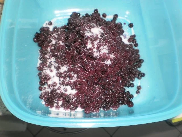 Mango-Heidelbeer-Grießpudding - Rezept - Bild Nr. 3