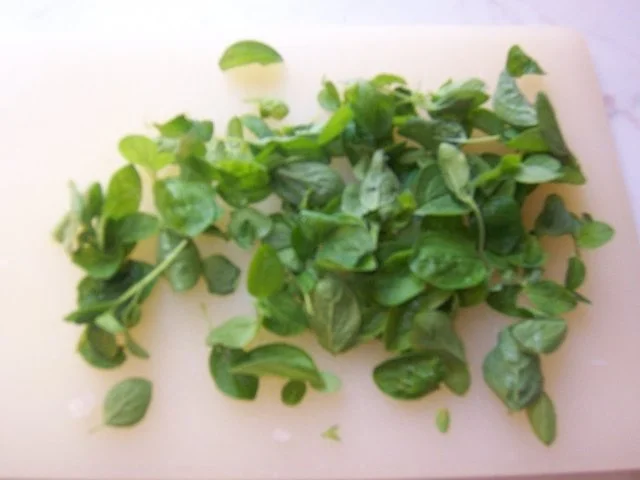 Rezept: Rucola-Bällchen auf Tomatensauce Bild Nr. 6 Rucola-Bällchen auf Tomatensauce - Rezept - Bild Nr. 6