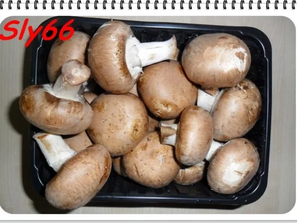 Eintöpfe:Champignon-Gulasch - Rezept - Bild Nr. 5