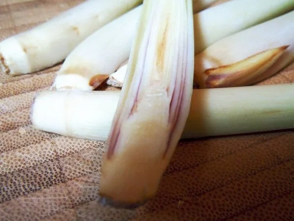 Rezept: Zitronengras-Milchreis mit Aprikosen-Ingwer-Kompott Bild Nr. 6 Zitronengras-Milchreis mit Aprikosen-Ingwer-Kompott - Rezept - Bild Nr. 6