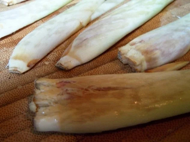 Rezept: Zitronengras-Milchreis mit Aprikosen-Ingwer-Kompott Bild Nr. 7 Zitronengras-Milchreis mit Aprikosen-Ingwer-Kompott - Rezept - Bild Nr. 7