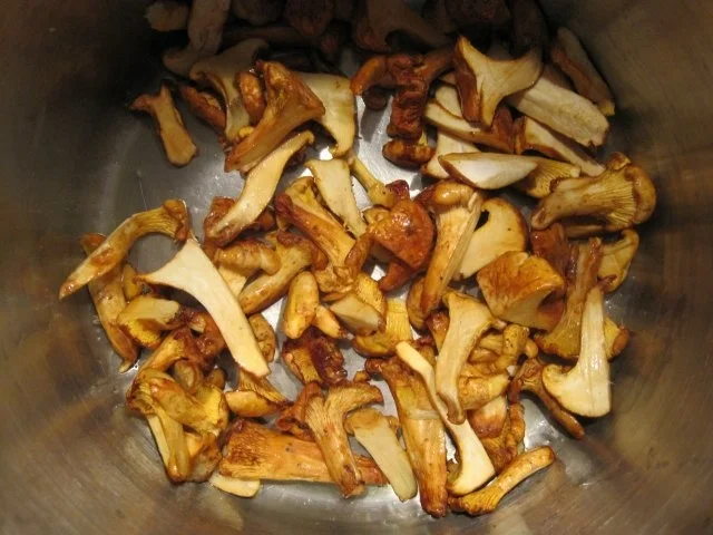 Schweine-Geschnetzeltes mit Pfifferlingen - Rezept - Bild Nr. 5