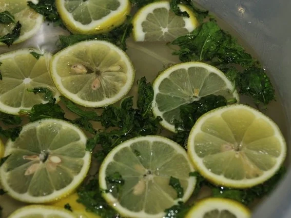 Rezept: Minzesirup / Zitronenmelissesirup Bild Nr. 2 Minzesirup / Zitronenmelissesirup - Rezept - Bild Nr. 2