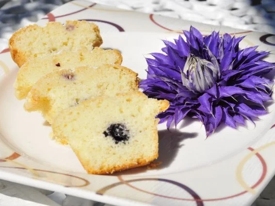 Mini-Cake mit Blaubeeren - Rezept - Bild Nr. 2