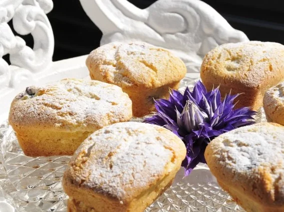 Mini-Cake mit Blaubeeren - Rezept