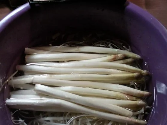 Spargel mit Lachs á la Dieter - Rezept - Bild Nr. 3