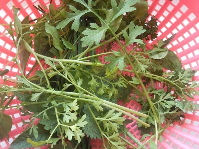 Rezept: Champignonkräuterspieße Bild Nr. 3 Champignonkräuterspieße - Rezept - Bild Nr. 3