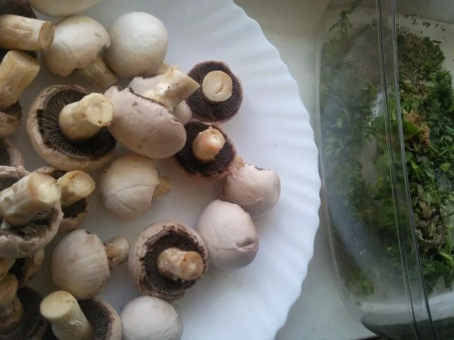 Rezept: Champignonkräuterspieße Bild Nr. 5 Champignonkräuterspieße - Rezept - Bild Nr. 5