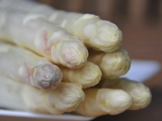 Spargel Cordon bleu - Rezept - Bild Nr. 2