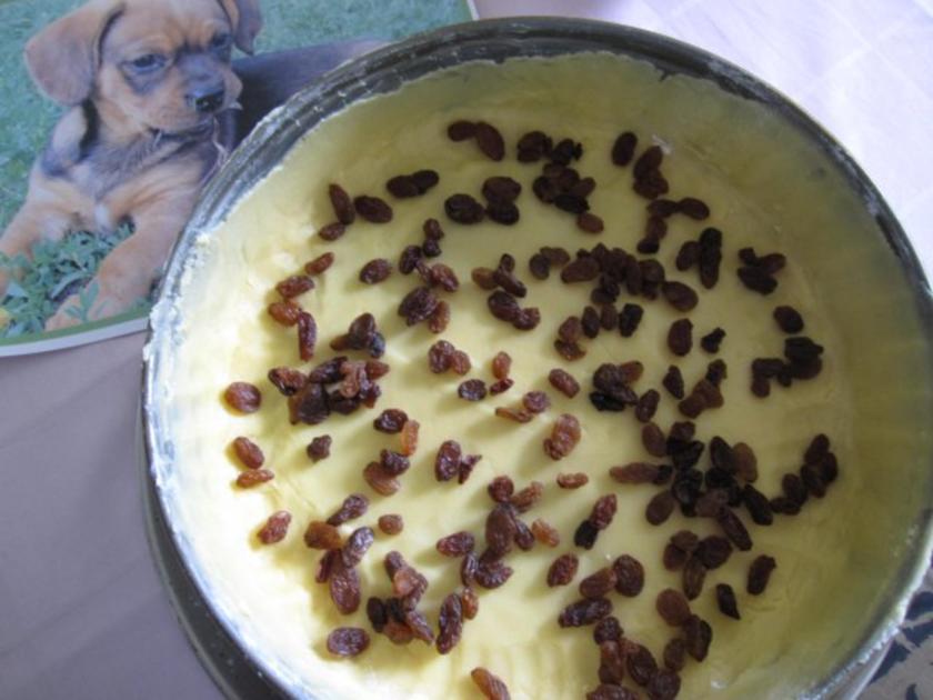 allerbester Käsekuchen mit Brandteig - Rezept - kochbar.de