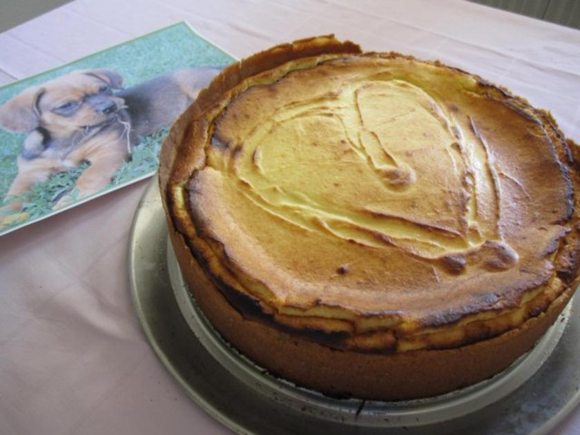 Allerbester Käsekuchen mit Brandteig - einfach - von kochmobil