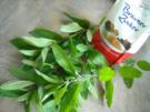 Dunkler Minz-Sirup - Rezept