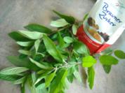 Dunkler Minz-Sirup - Rezept