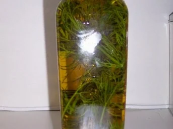 Gewürz: Dill-Kräuteröl - Rezept