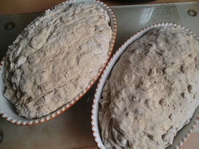 Kartoffel-Walnussbrot a la Angie - Rezept - Bild Nr. 2