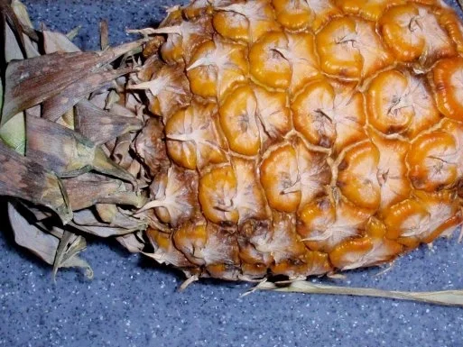 Fruchtige Hähnchenfilet-Pfanne mit Tagliatelle - Rezept - Bild Nr. 5