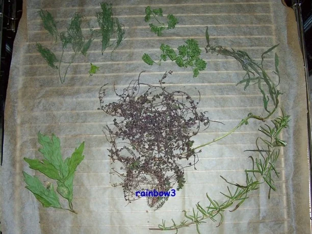 Gewürz: Kräutersalz für Fisch - Rezept - Bild Nr. 2