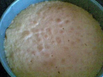 Heidelbeer-Schmandkuchen - Rezept - Bild Nr. 3