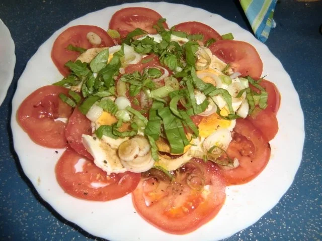 Tomate - Mozzarella mit Ei - Rezept - Bild Nr. 6