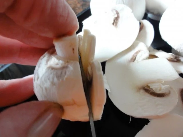 Pilze:   CHAMPIGNON + STEINPILZPULVER als Vorrat - Rezept - Bild Nr. 2