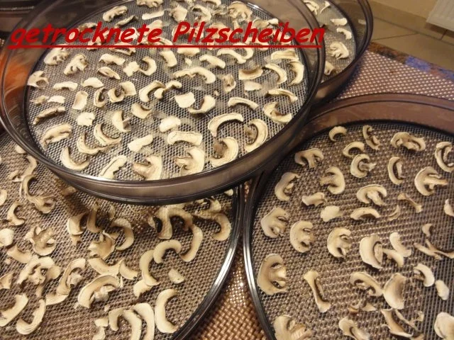 Pilze:   CHAMPIGNON + STEINPILZPULVER als Vorrat - Rezept - Bild Nr. 5