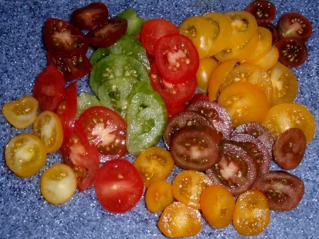 Rezept: Bunter Sommersalat Bild Nr. 6 Bunter Sommersalat - Rezept - Bild Nr. 6