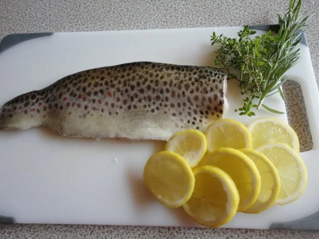 Bach Forelle im Gemüse Nest - Rezept - Bild Nr. 4