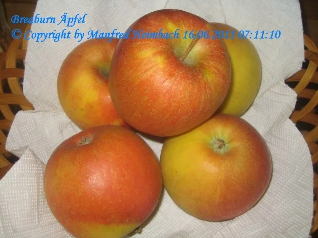 Gemüse - Apfel-Sauerkraut a’la Mama - Rezept - Bild Nr. 2