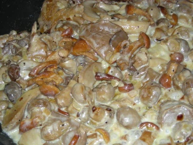 Pilzpfanne - Rezept - Bild Nr. 2