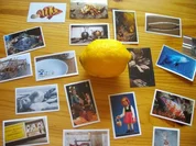 backen / Kuchen: Zitronenboden - Rezept