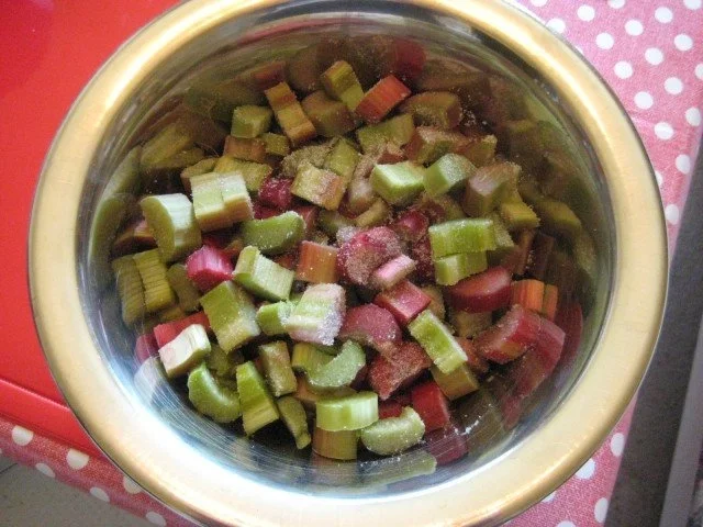 Rezept: Rhabarberkuchen mit Vanillepudding und Baiser Bild Nr. 7 Rhabarberkuchen mit Vanillepudding und Baiser - Rezept - Bild Nr. 7