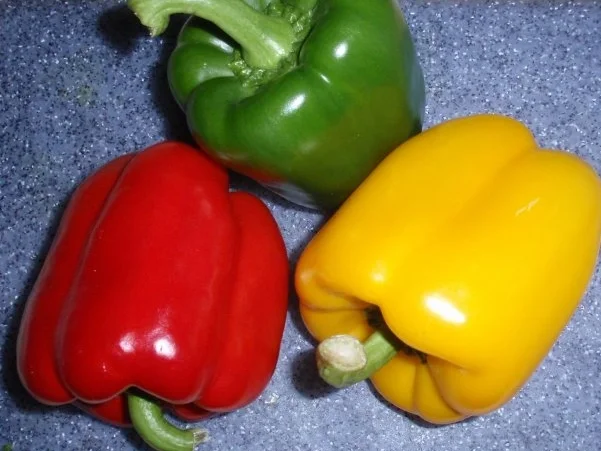 Hackbällchen im Paprikagarten - Rezept - Bild Nr. 10