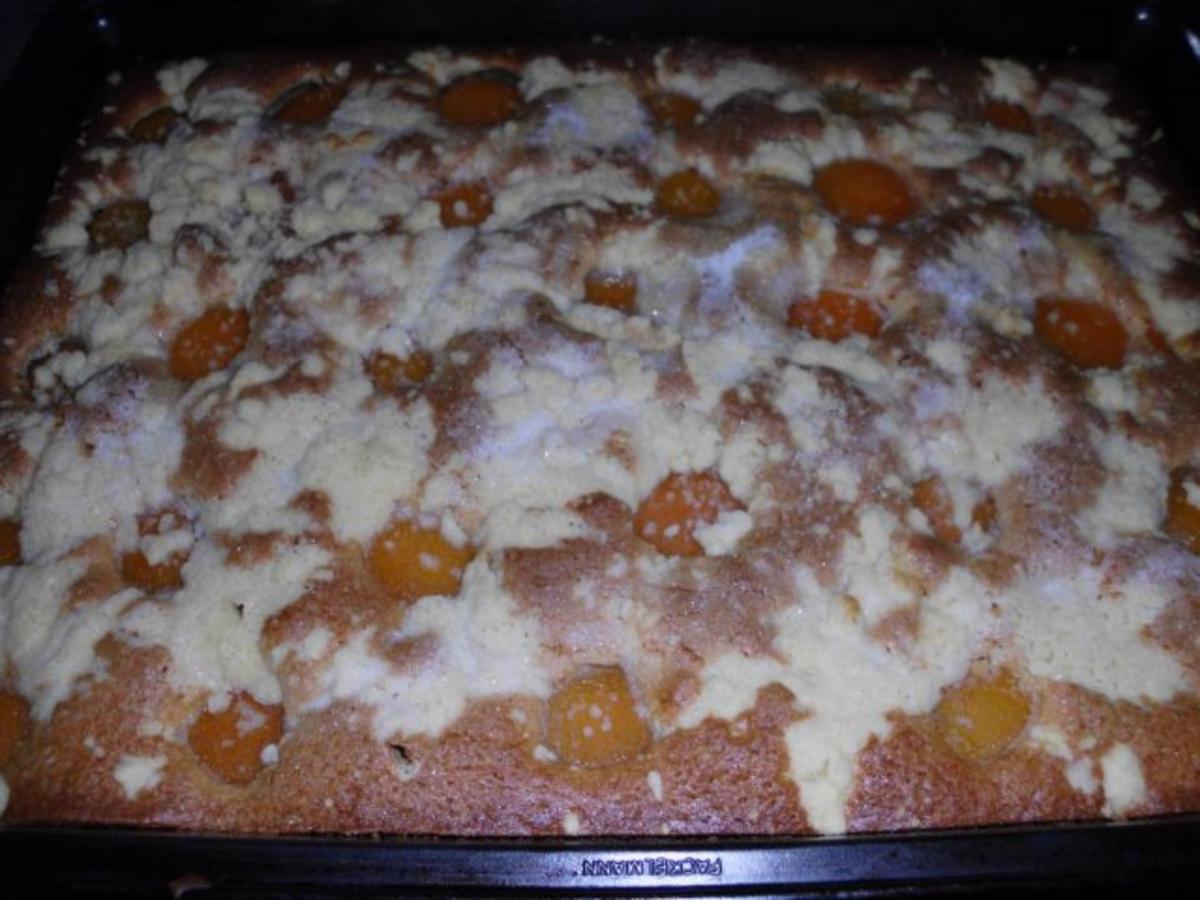 Aprikosen-Eierlikör-Streuselkuchen - Rezept - kochbar.de