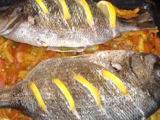 Streifenbrasse mit Tomaten-Fenchel-Gemüse - Rezept