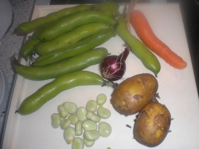 Rezept: Sommereintopf mit dicken Bohnen Bild Nr. 2 Sommereintopf mit dicken Bohnen - Rezept - Bild Nr. 2