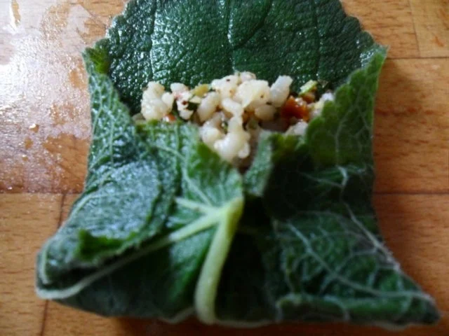 Rezept: Salbeiblätter vegetarisch gefüllt Bild Nr. 10 Salbeiblätter vegetarisch gefüllt - Rezept - Bild Nr. 10