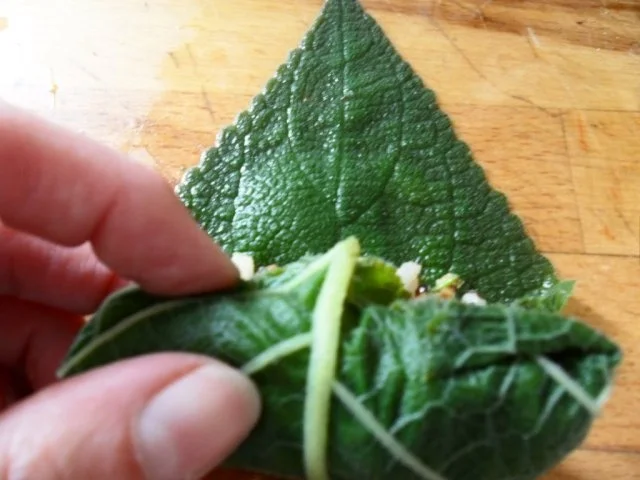 Rezept: Salbeiblätter vegetarisch gefüllt Bild Nr. 12 Salbeiblätter vegetarisch gefüllt - Rezept - Bild Nr. 12