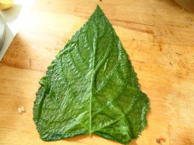 Rezept: Salbeiblätter vegetarisch gefüllt Bild Nr. 8 Salbeiblätter vegetarisch gefüllt - Rezept - Bild Nr. 8