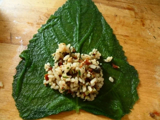 Rezept: Salbeiblätter vegetarisch gefüllt Bild Nr. 9 Salbeiblätter vegetarisch gefüllt - Rezept - Bild Nr. 9