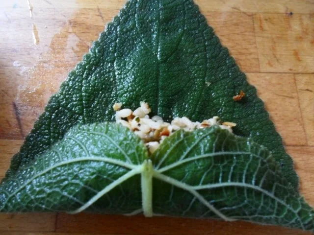 Rezept: Salbeiblätter vegetarisch gefüllt Bild Nr. 11 Salbeiblätter vegetarisch gefüllt - Rezept - Bild Nr. 11