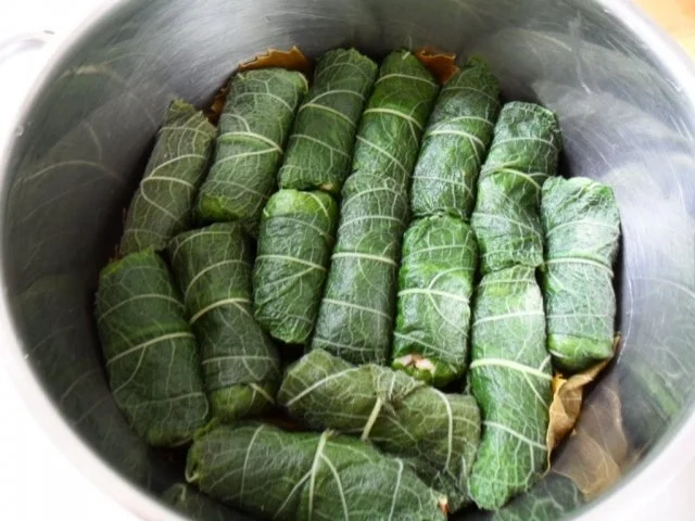 Rezept: Salbeiblätter vegetarisch gefüllt Bild Nr. 14 Salbeiblätter vegetarisch gefüllt - Rezept - Bild Nr. 14