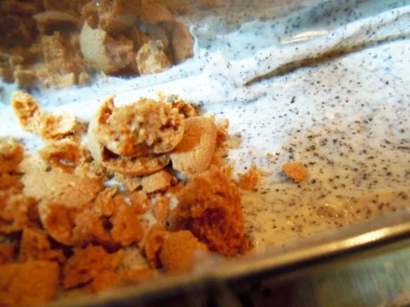 Mohnparfait mit Ananas-Minz-Ragout - Rezept - Bild Nr. 8