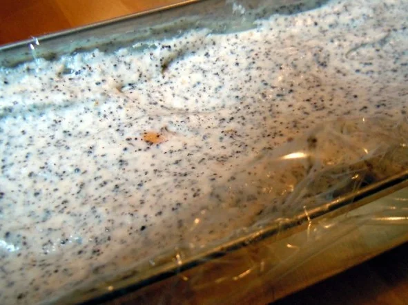 Mohnparfait mit Ananas-Minz-Ragout - Rezept - Bild Nr. 9