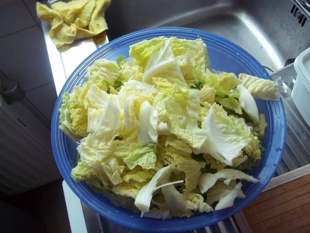 Gefüllter Kohlkopf - Rezept - Bild Nr. 3