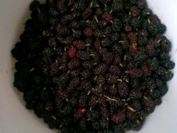 Maulbeermarmelade - Rezept