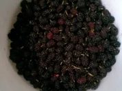 Rezept: Maulbeermarmelade Maulbeermarmelade - Rezept